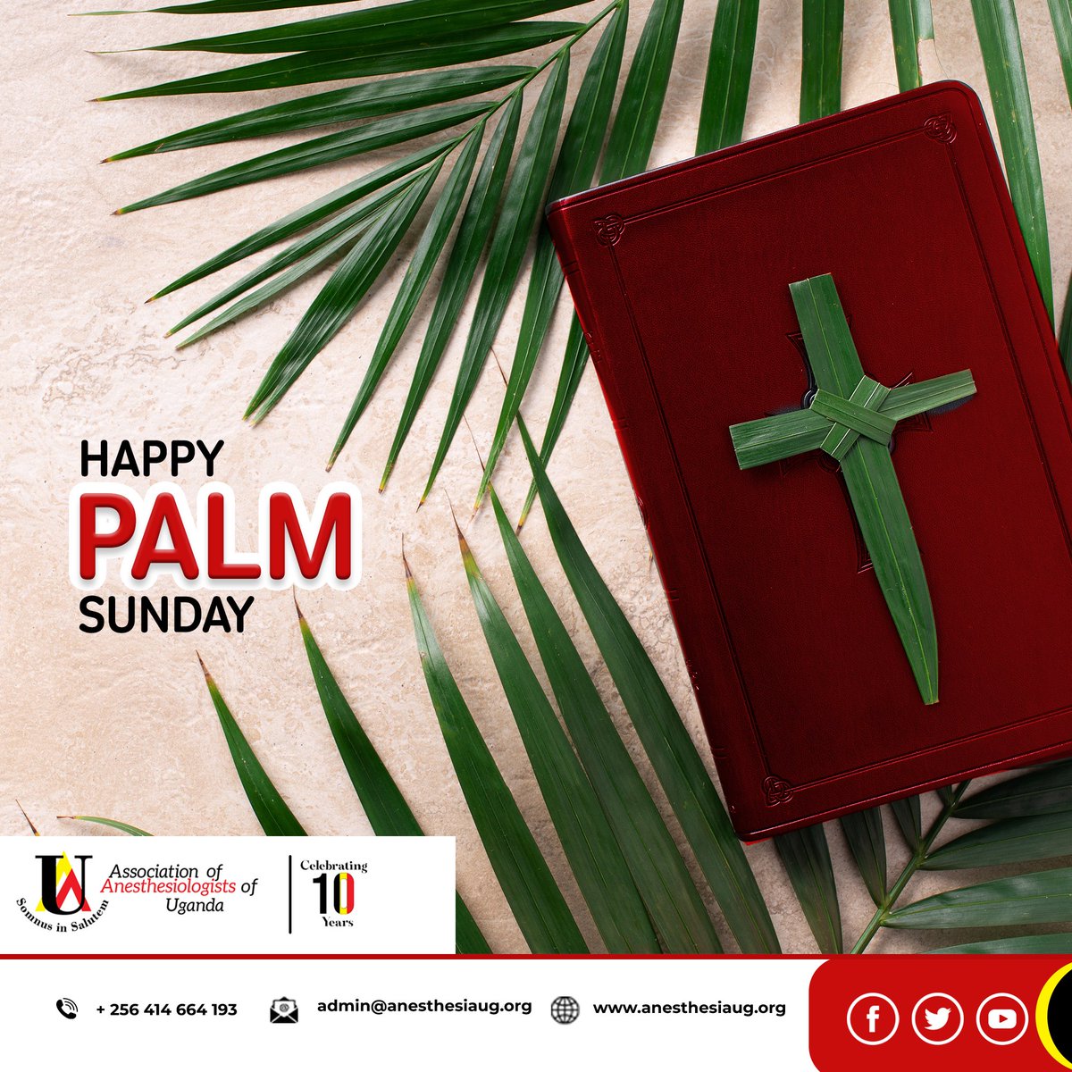 Happy Palm Sunday! May this day bring you hope.