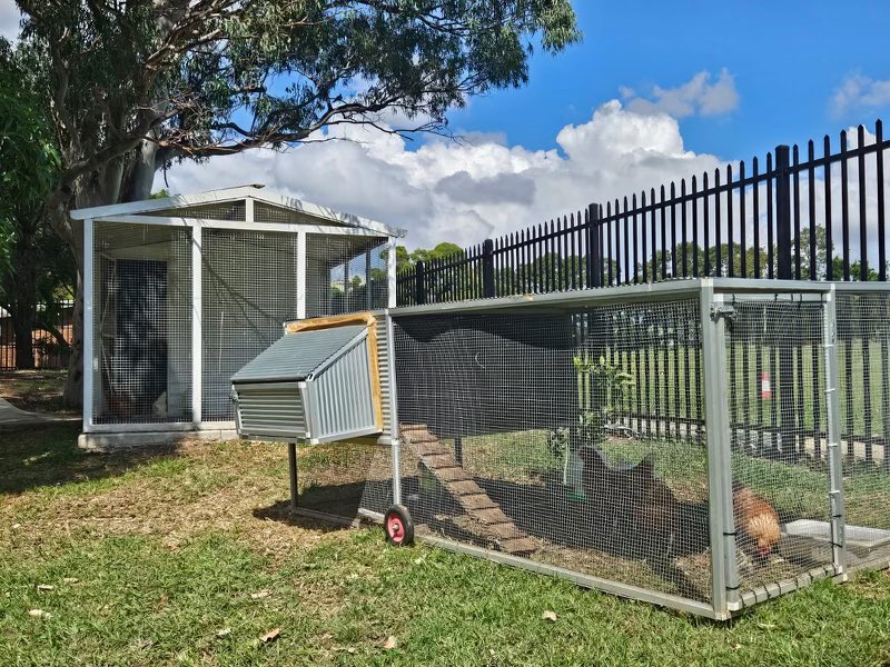 dizdarm's tweet photo. Strathfield South HS established their agricultural program 2 years ago &amp; they’ve now received an @RAS_NSW Foundation Innovation in Schools award. Congratulations to our students &amp; Brad Cook, principal &amp; Adam Sharp, Head teacher who’ve been instrumental in setting up the program. https://t.co/O6iYLQonGV