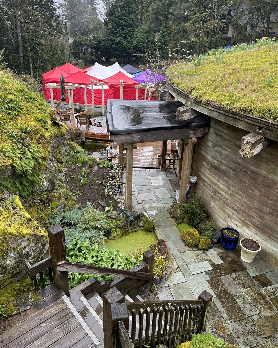 T’eVine tweet media