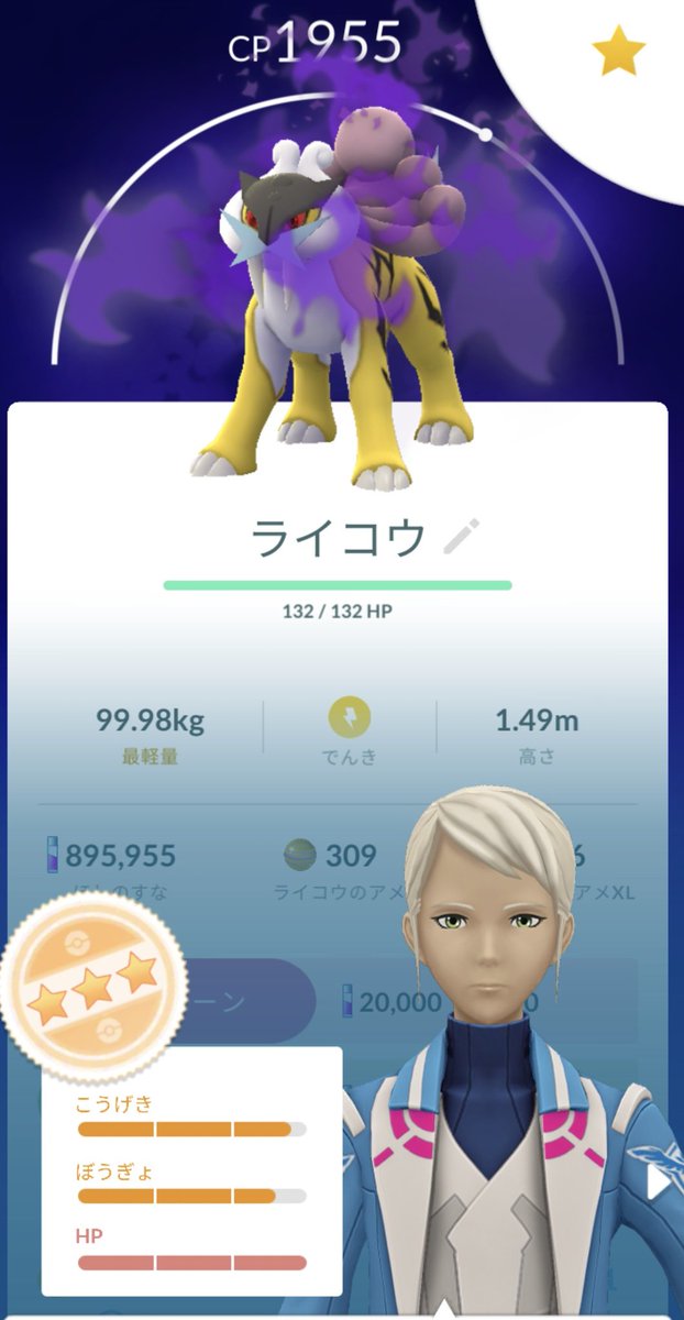 DmsYashito's tweet photo. シャドウライコウレイド初めて挑んだらエグいの捕れた笑

#ポケモンGO
#シャドウライコウ https://t.co/DXMgBvkrF9