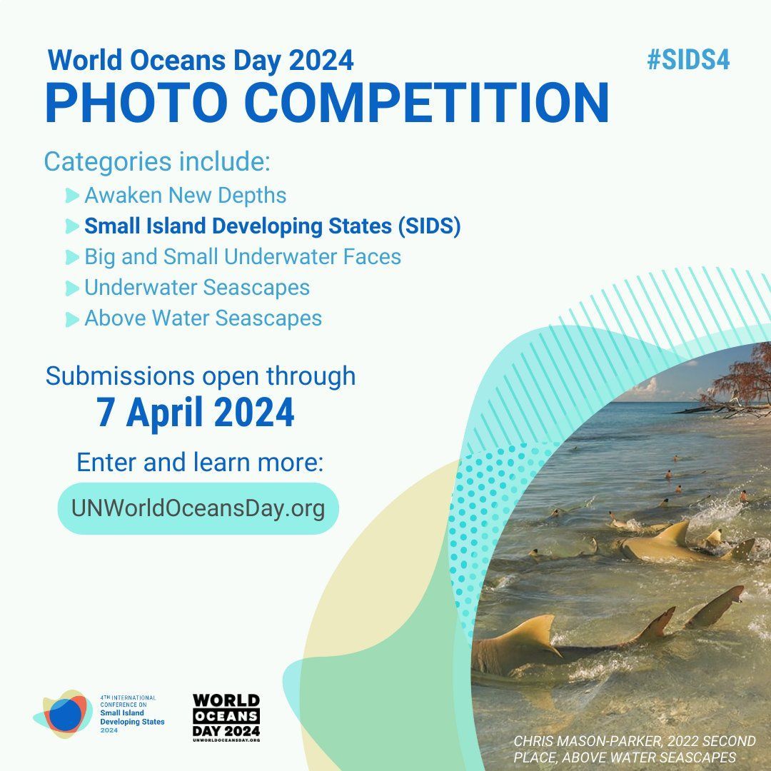 📣 Calling all photographers!

🤿 This year’s #UNWorldOceansDay photo contest includes a special category showcasing the beauty of #SmallIslands! Entries may have a chance to be displayed at the #SIDS4 conference.

➡️ Learn more and enter by 7 April: buff.ly/2KA2MIa