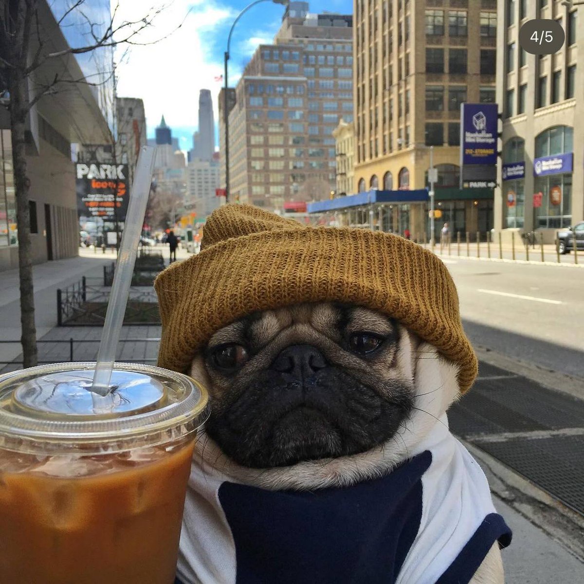 solpugwifhat's tweet photo. GMMM $PUG

9FMbxAWpMqS63bnrjZUiFWn9pRUmPhUZprXfWPCo4RHA

https://t.co/o7dr94x2i2 https://t.co/cQHgansdKs