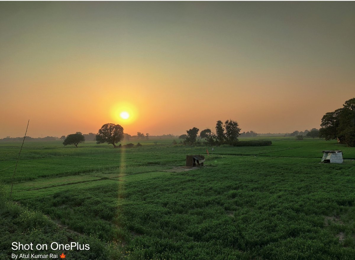 हवाओं का संगीत कान में बज रहा है। इन दिनों देखा है मैनें...पछुआ और पुरवा को एक साथ बहते। एक साथ झूमते मटर और चना को। आम और महुआ के मोजर को। हर मौसम का भी अपना एक छंद होता है। अब उसी छंद में होली के गीत बजेंगे..चैत आएगा छंद बदलेगा,और गाया जाएगा, जन्म लिहले रघुरइया हो रामा.. ❤️🙏