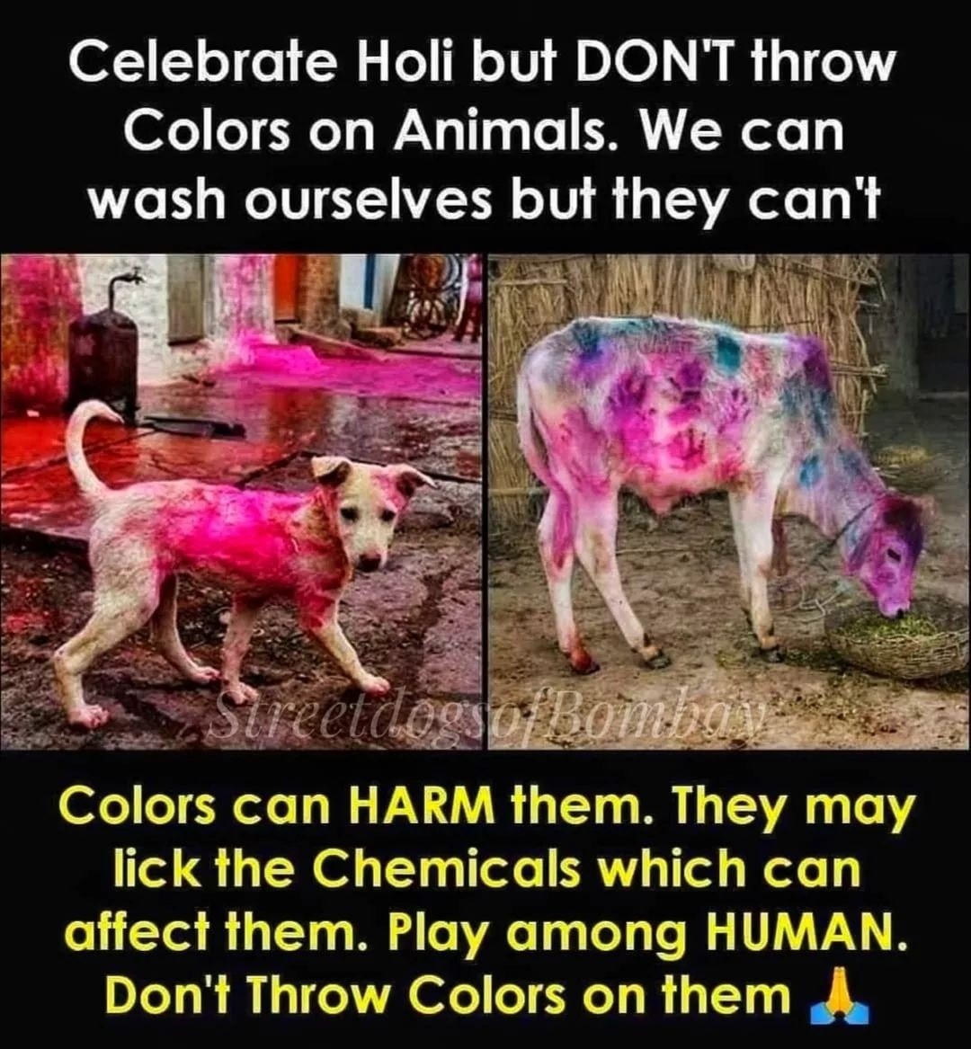 May the flames of #HolikaDahan burn all the cruel mindsets, leaving behind a peaceful environment for our animals. 🙏 Play Holi with Humans, please do not harm #animals. #होलिका_दहन #HappyHoli #Holi2024 #HolikaDahan2024 #HolikaDahan_2024 #Holika #HoliHai #Holi #HoliFestival