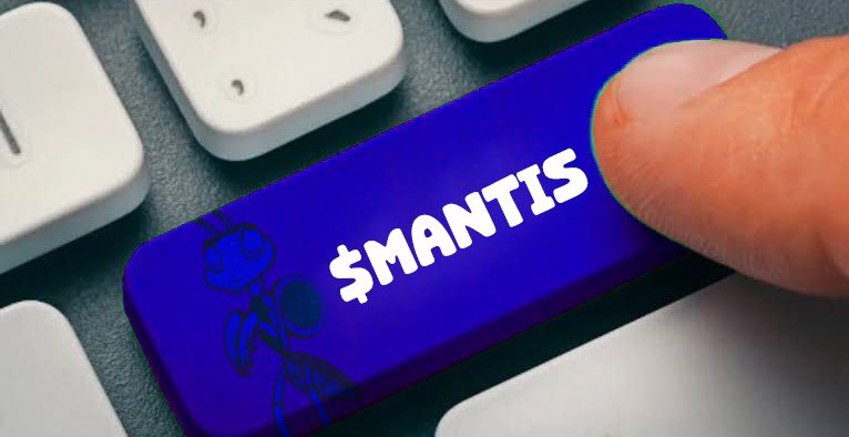 PrayMantisFTM's tweet photo. Gm to absolutely everyone clicking the buy  $MANTIS button 🤖💙

$MANTIS still dirt cheap at $1M Mcap 🧘🏻‍♂️

MANTIS™️ Bot: https://t.co/3vjW0om1P3
TG: https://t.co/UduaaCjJZ8

#MANTIS https://t.co/QTIjpBnYbD