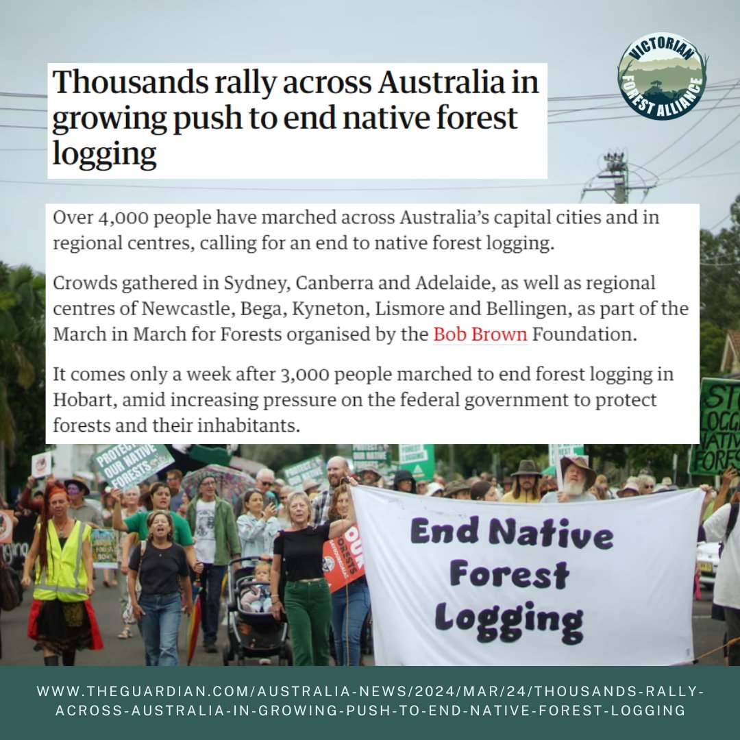 END NATIVE FOREST LOGGING ACROSS THE CONTINENT! 🌿🌿 A massive turnout for the @bobbrownfoundation marches for forests all over Australia today. 👉 Coverage in the Guardian: theguardian.com/australia-news…