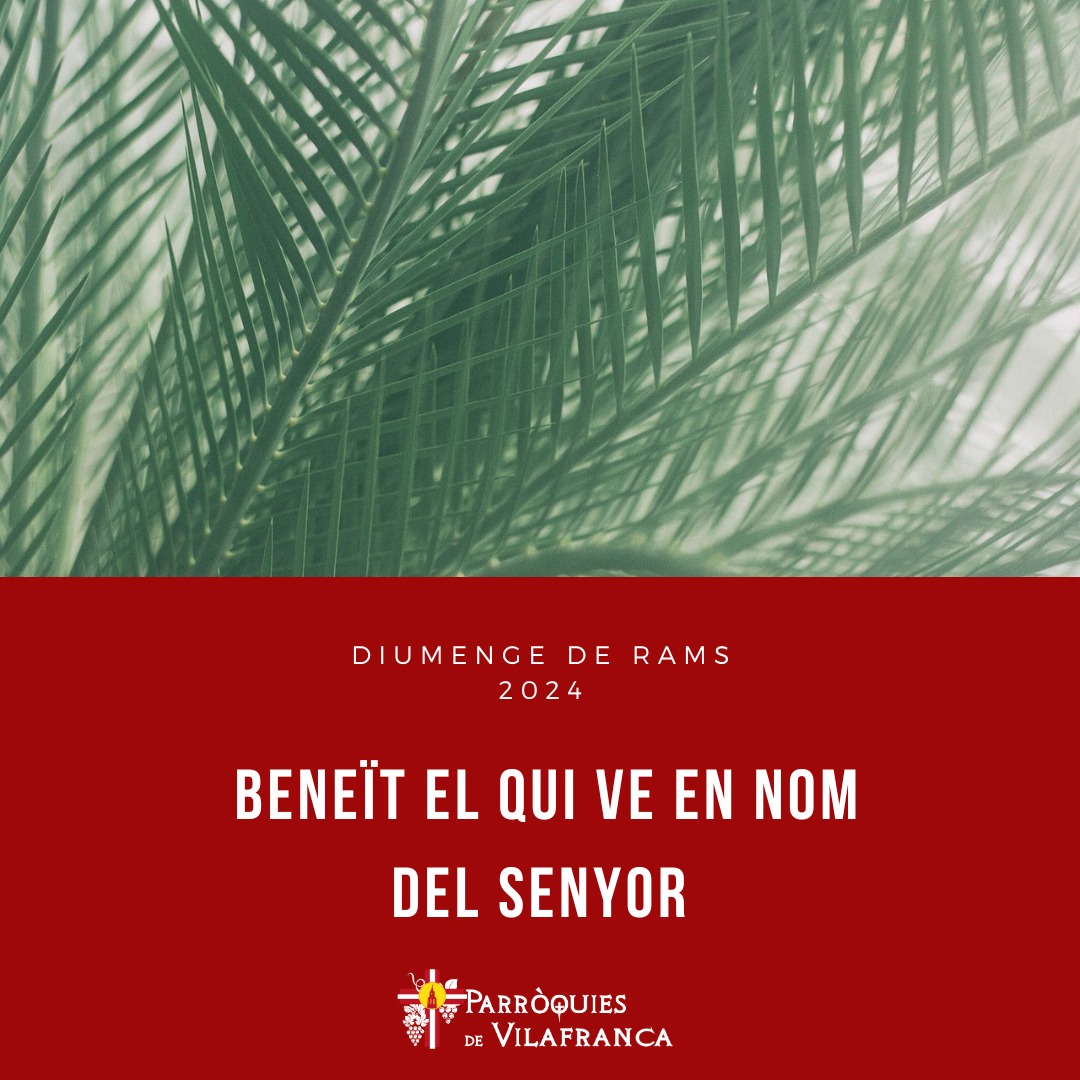 Parr_VFP's tweet photo. Diumenge de Rams: "Beneït el qui ve en nom del Senyor". https://t.co/erM734PFIO