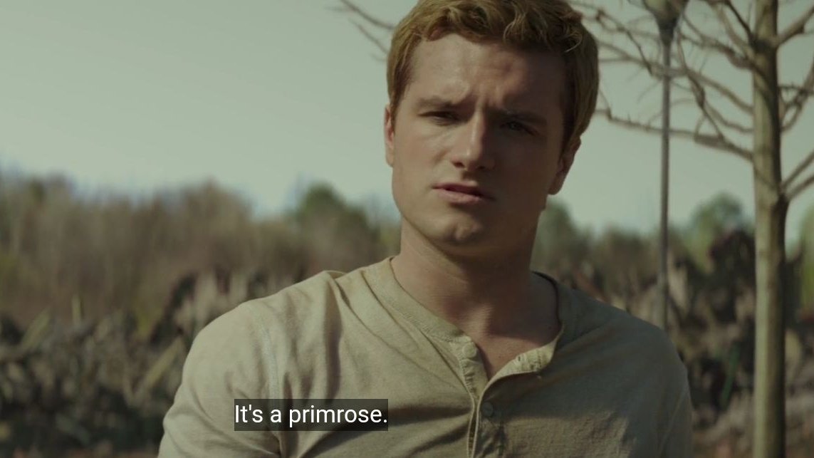 currently thinking about the fact that peeta came back to district 12 after all just to be there for katniss and not only that, but he also went to the forest to gather primroses and plant them in her garden to give her a place where she could mourn and feel close to prim