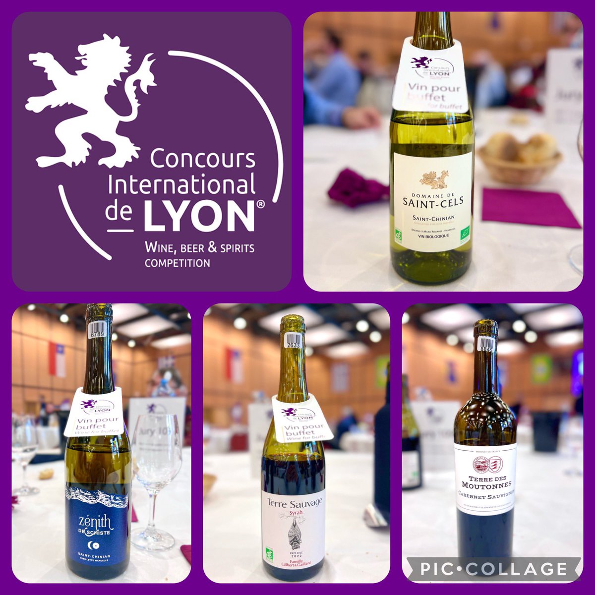 My panel had very similar high scores on these wines💮 Concours de Lyon 🍷 Looking forward to 2025 Concours de Lyon!

#concoursdelyon #concoursinternationaldelyon
#concourslyon #winecompetition #dipwset #wsetdiploma #circleofwinewriters #internationaldrinksspecialists