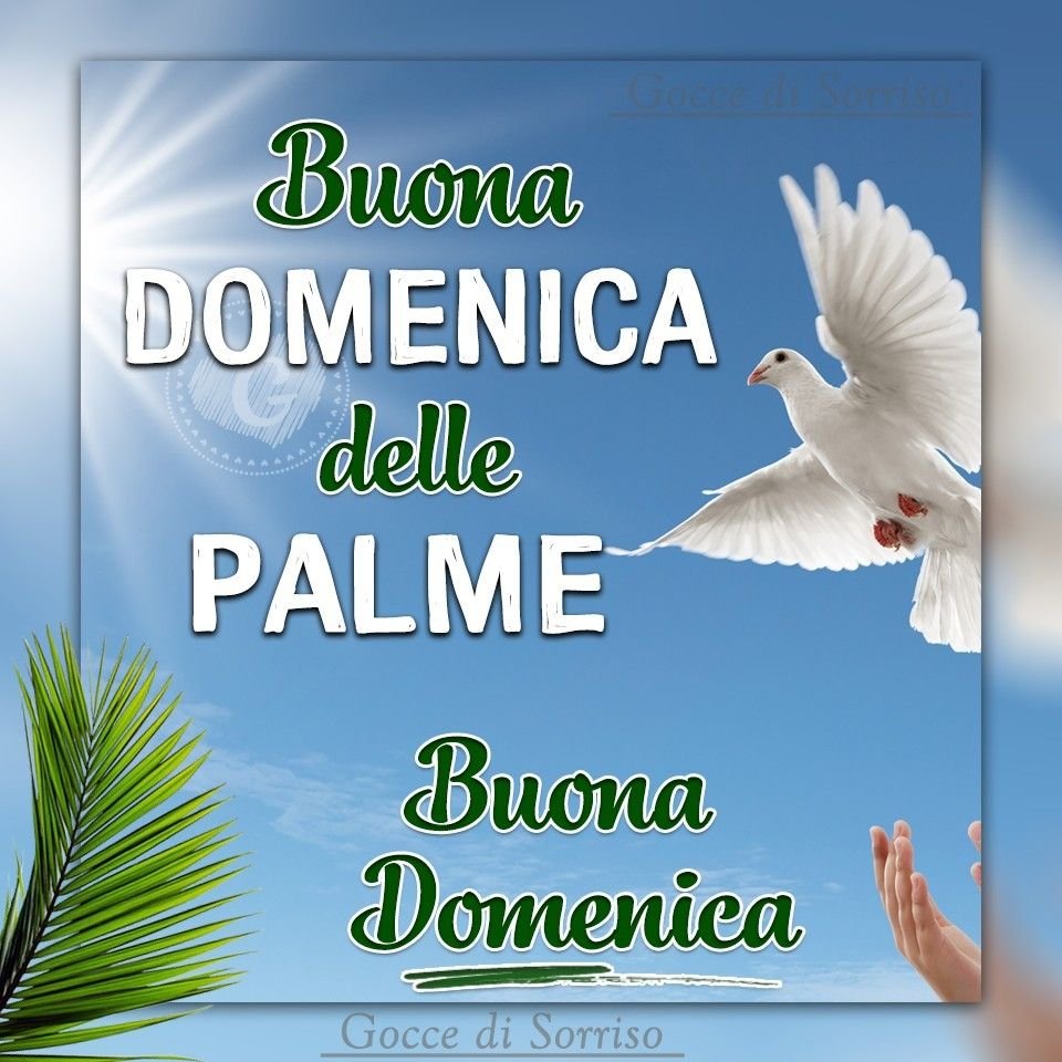 Buona domenica delle Palme a tutti 🌹☕️🥰