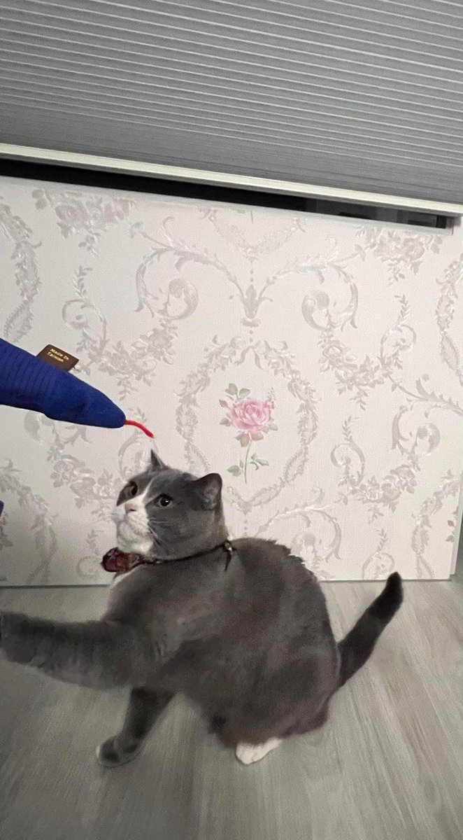 Nur wenn Sie stark sind, besser leben als andere und hart arbeiten, um ein Berg zu werden, können Sie von einem hohen Ort herabblicken