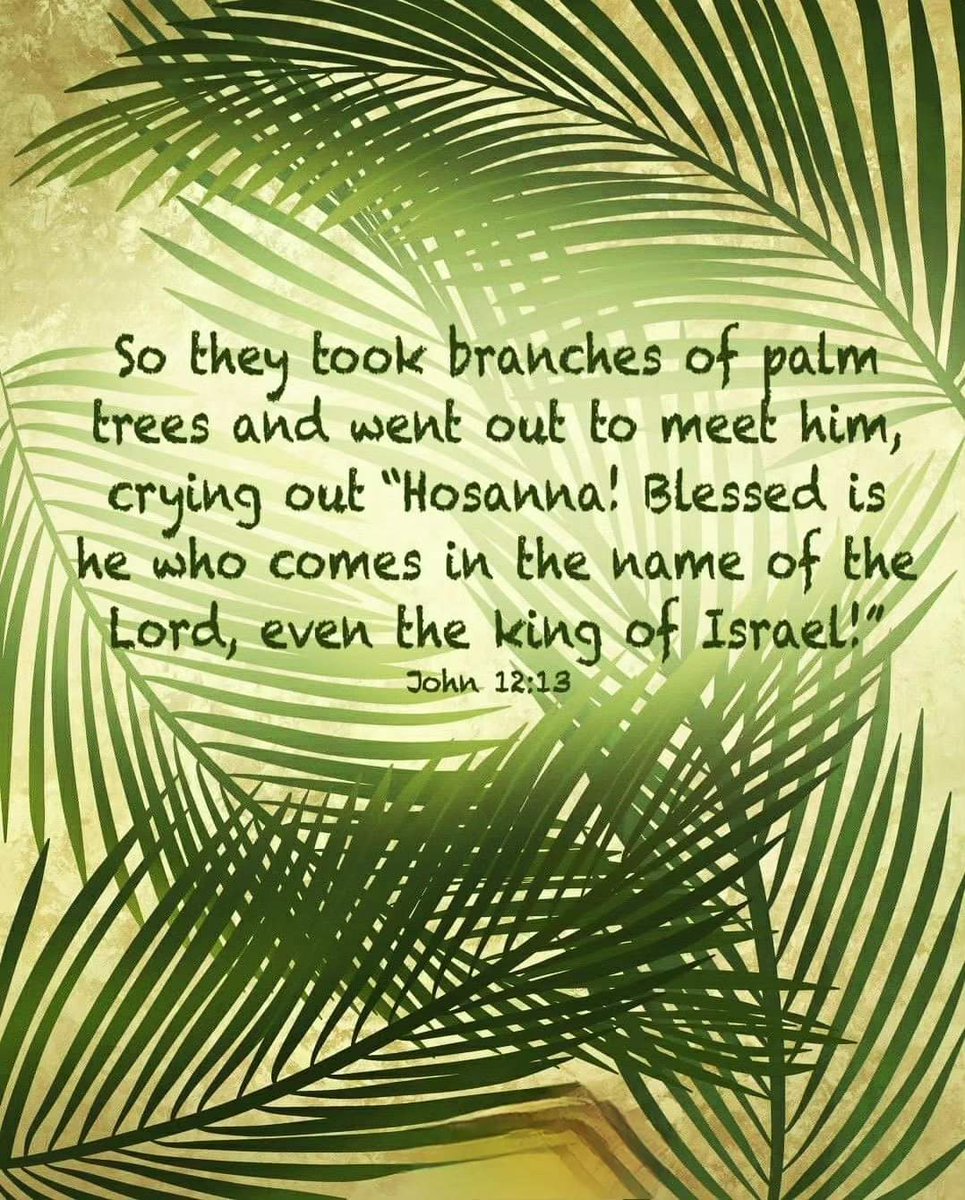 A blessed Palm Sunday to you in the body of Yeshua. 🙏🏾 ✝️