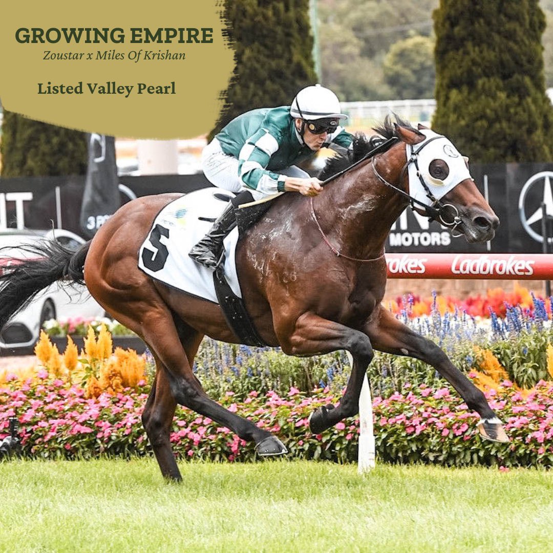 ⚜️ It's one for the books! Veight's epic win gave #Grunt his first G1 winner, #WrittenTycoon and #Pierata scored a quinella in the world's richest 2YO race, the former recording his second Golden Slipper winner, and Yulong-owned racemares went 1-2 in the G1 Ranvet Stakes.