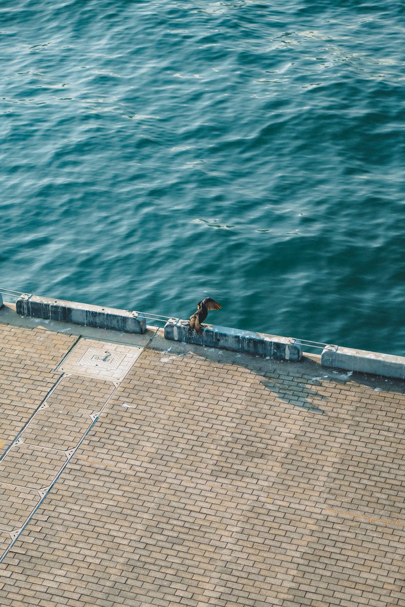 DanielMarjuadi's tweet image. #PowderBlue Color from #SigmaFP 📸