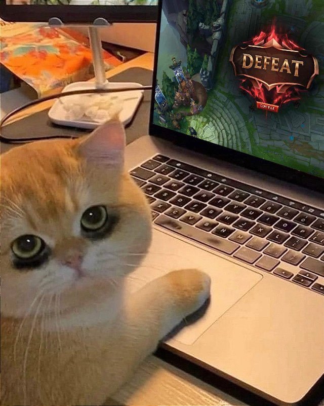 pucmm (@burly_pucmm) on Twitter photo 