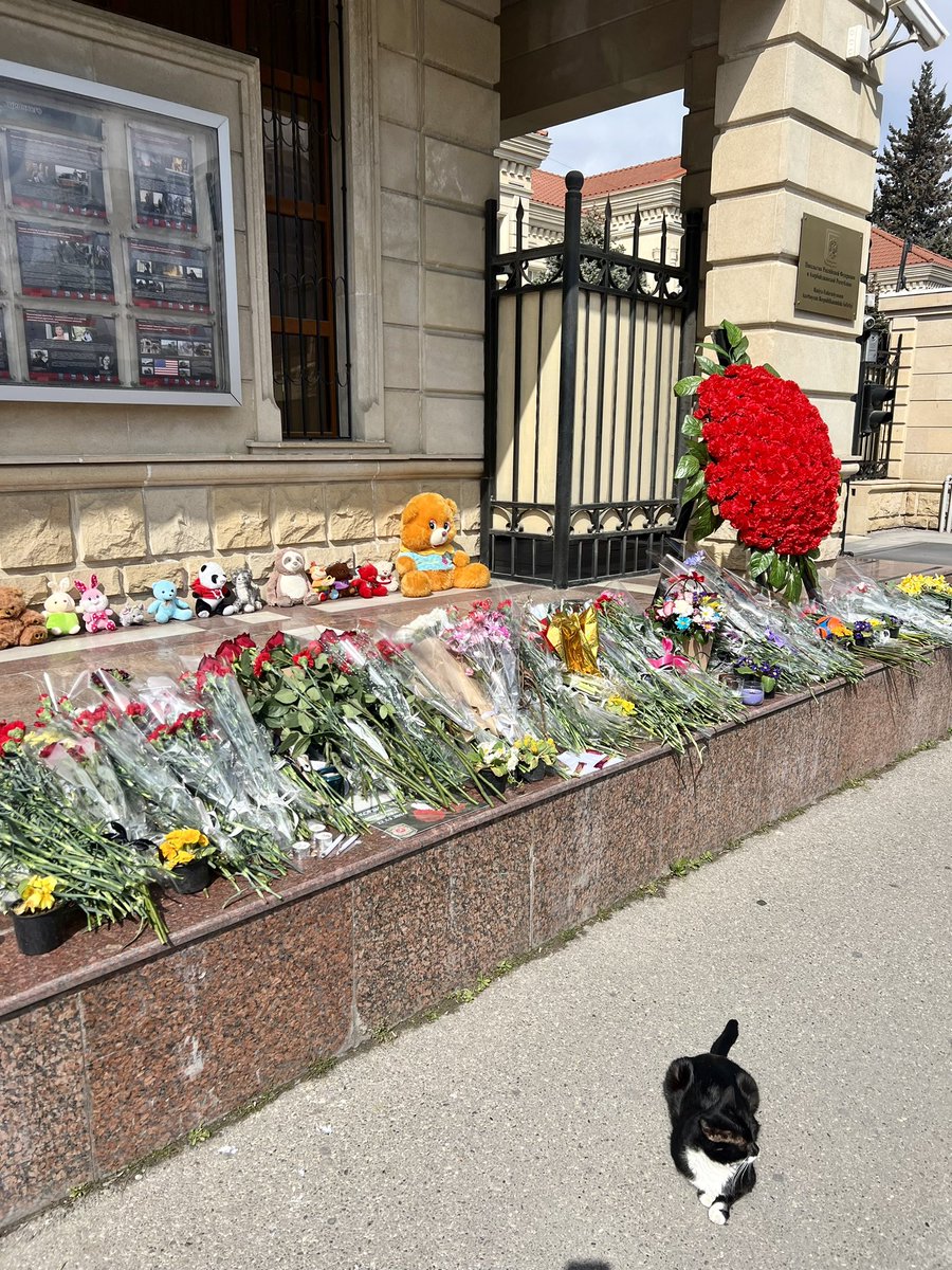 Русская община Азербайджана (@russ_com_of_aze) on Twitter photo 🇦🇿🇷🇺Представители Русской общины Азербайджана продолжают нести цветы к Посольству России выражая соболезнования в связи с ужасным терактом в «Крокус сити Холл»
<a href="/embrus_az/">Посольство России в Азербайджане</a> 🇦🇿🇷🇺Представители Русской общины Азербайджана продолжают нести цветы к Посольству России выражая соболезнования в связи с ужасным терактом в «Крокус сити Холл»
<a href="/embrus_az/">Посольство России в Азербайджане</a>