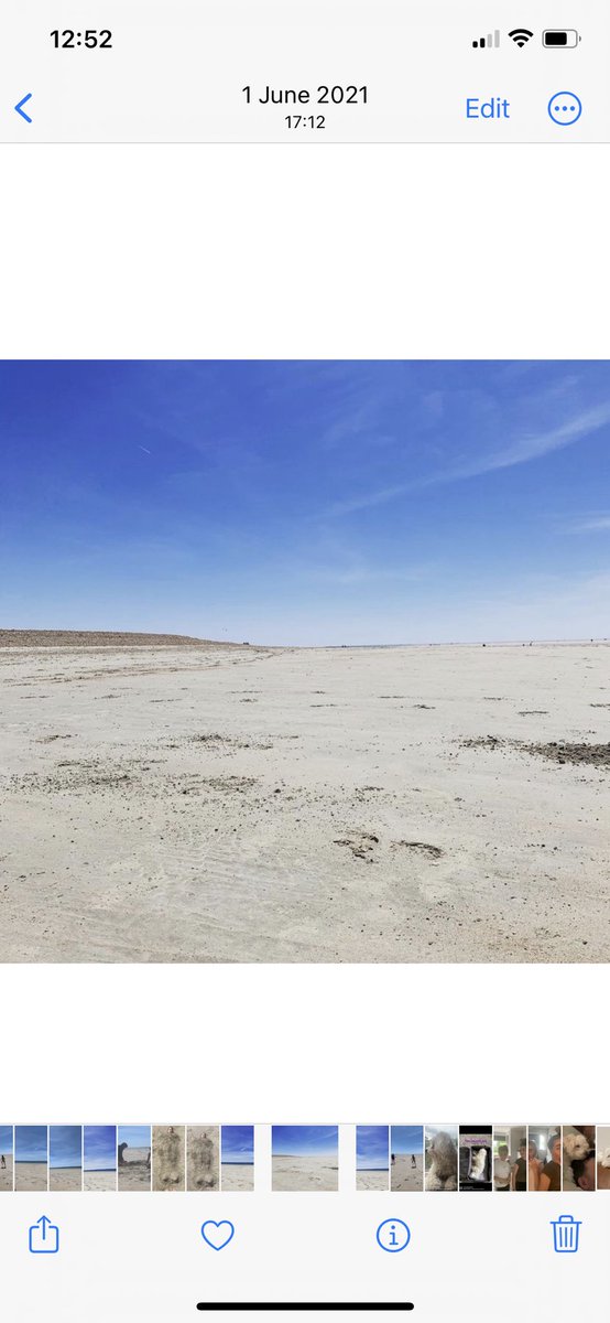 @MsSmaraw tweet media