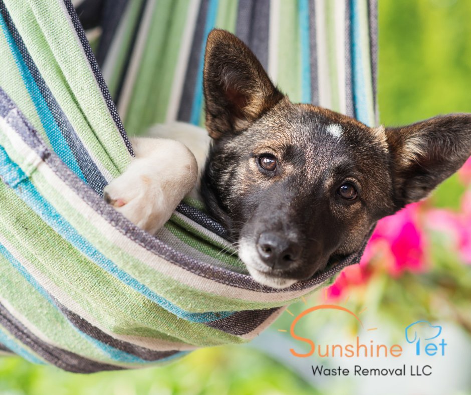 SPWRLLC's tweet image. Soon we&apos;ll enjoy the fresh breeze and vibrant blooms in the yard with our pups. Keep your yard clean all season long by booking a pet wast removal service today. bit.ly/3wVqQz5   #SpringWithDogs #MontgomeryILPets #ILDogOwners