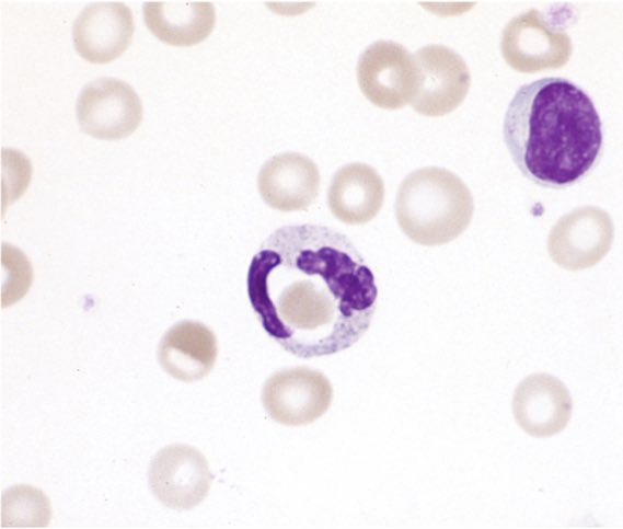 Nico Gagelmann tweet media