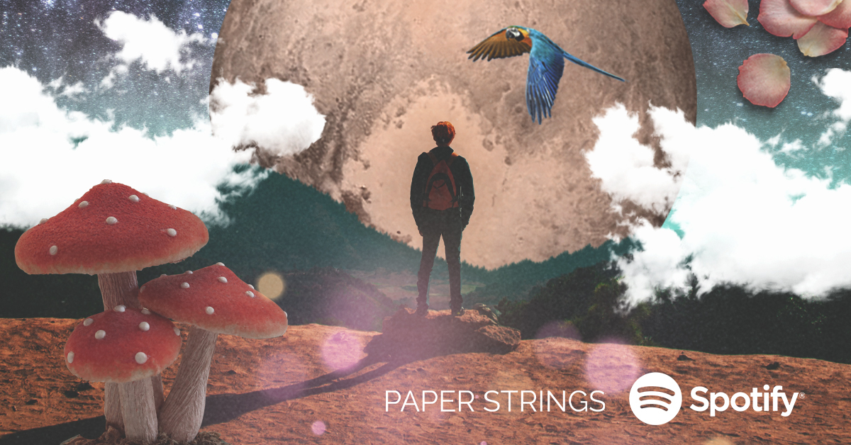 Luke Burns tweet media