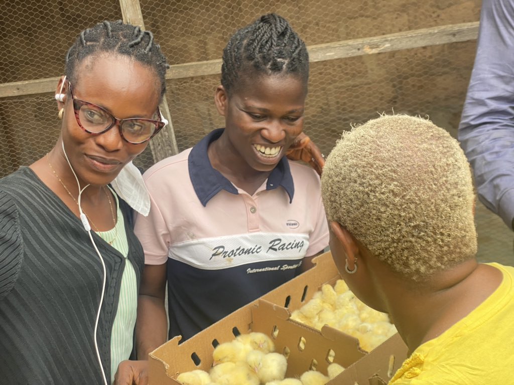 protectozone's tweet photo. That smile! 
The smile of baby chicks 🐤 arrival! 
The smile of sleepless nights of sleep! 
The smile of their fragility and care! 
The smile of a sense of fulfillment! 
With the support of the @USinNigeria, we have started training our participants on DIY chicken production… https://t.co/XcbFfpBigp