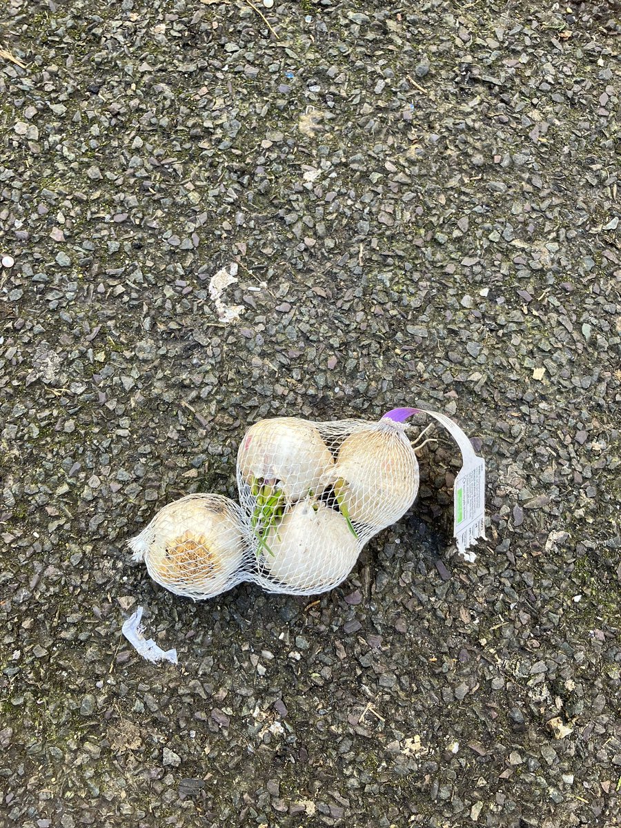 vincemaple's tweet image. Another great #GreatBritishSpringClean session in Chatham.

Thanks to Emma, Tai &amp;amp; Callum who joined Damola, Nina and I

Todays collection included 

20 Bags
2 Mattresses 
And…… an unused bag of garlic! 

#KeepBritainTidy