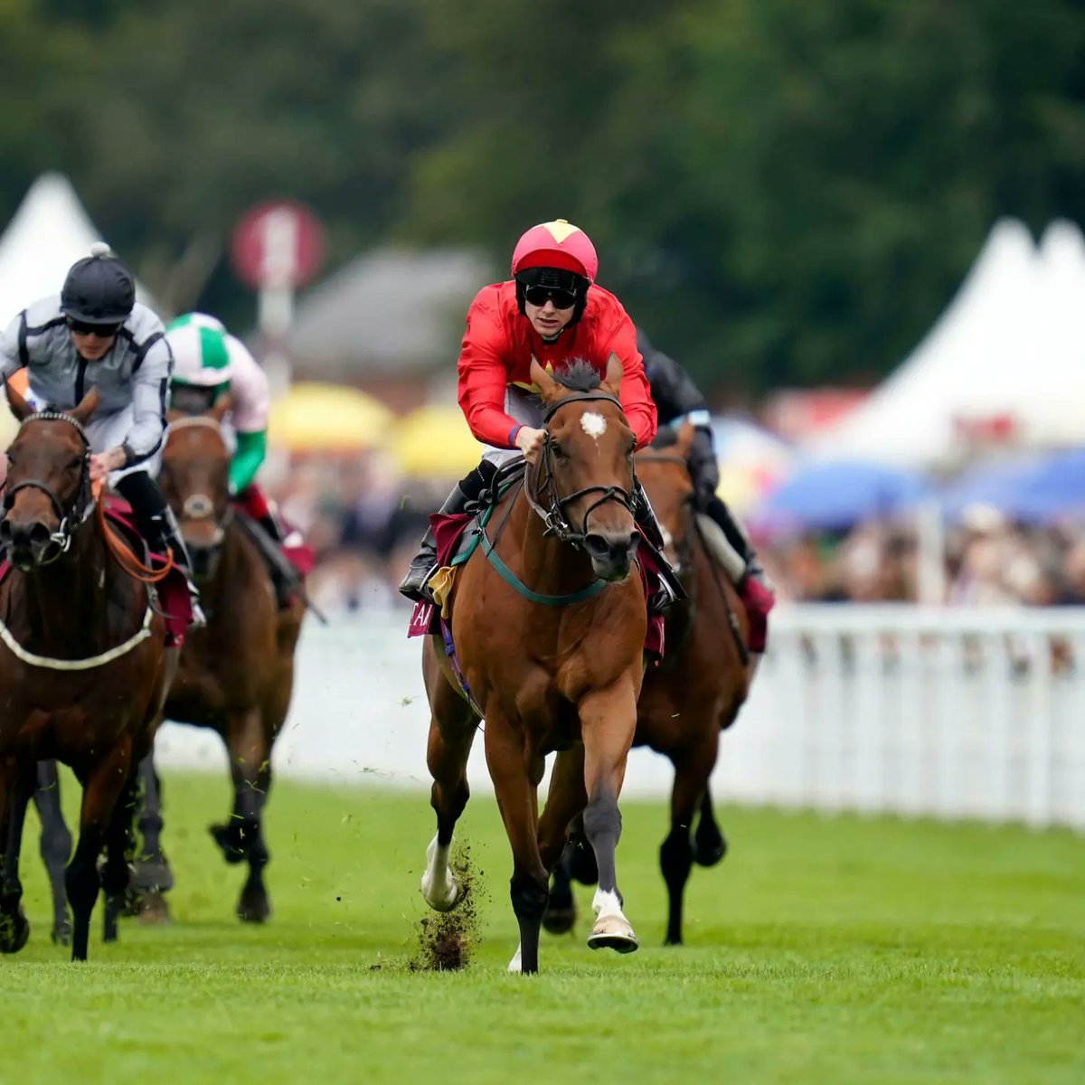 Rest in peace Highfield Princess 💔 Heartbreaking news breaking this morning that this star mare, a winner of the King George Qatar Stakes at Goodwood, has passed away following an injury. Thoughts with all the team at John Quinn Racing. #QGF #GloriousGoodwood