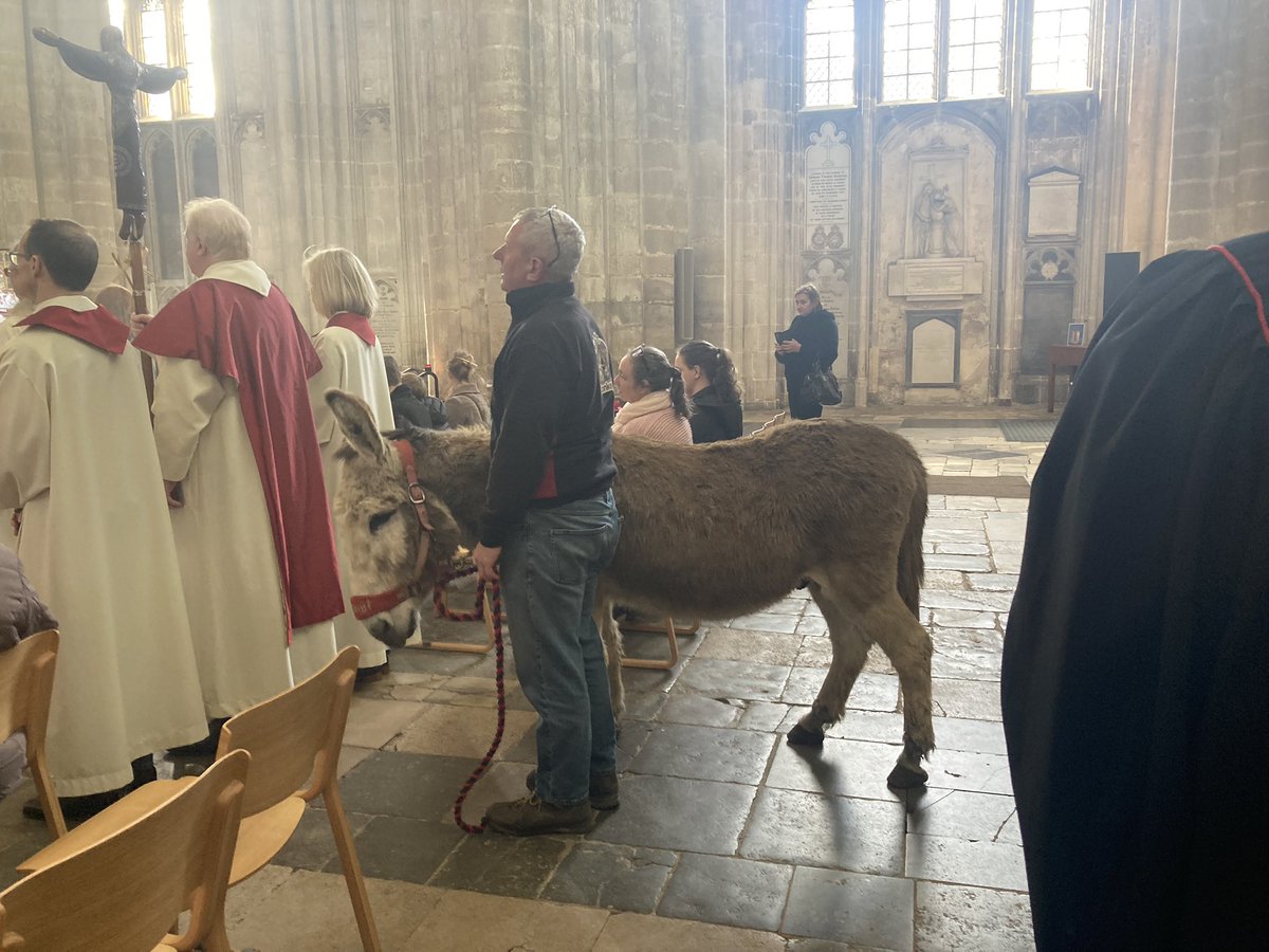Dermot the donkey lending style to the #PalmSunday2024 procession from The Great Hall to @WinCathedral this morning. Lovely sunshine today for religion ‘outdoors’.