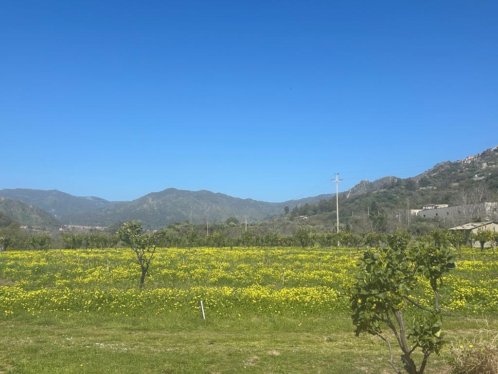 More from Gole Alcantara - Botanic and Geological Park 🍋🌴☀️🕶️