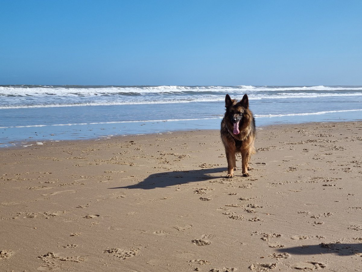 Lola like the beach