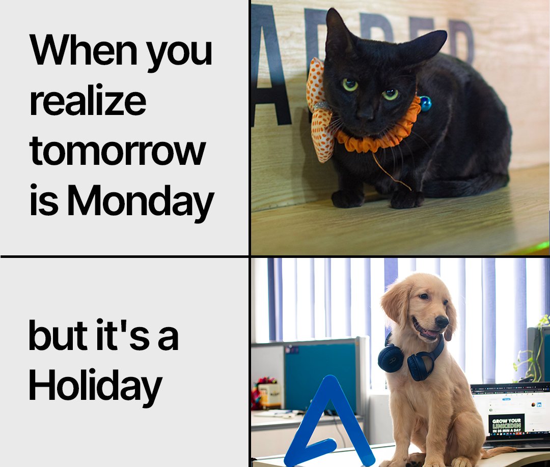 Appinventiv's tweet image. When #smonday feels start hitting but there's a plot twist 😎

#humor  #corporate #Holi2024