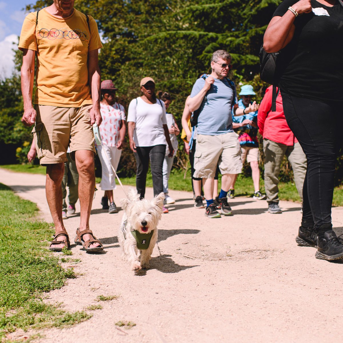 Come and join St Christopher's Healthy Walks, happening every Thursday at Crystal Palace Park! All are invited to join and it's free! It's the perfect training for our Fun Walk, this May: bit.ly/3TCnCwG Find out more about Healthy Walks: bit.ly/3uzVTmt