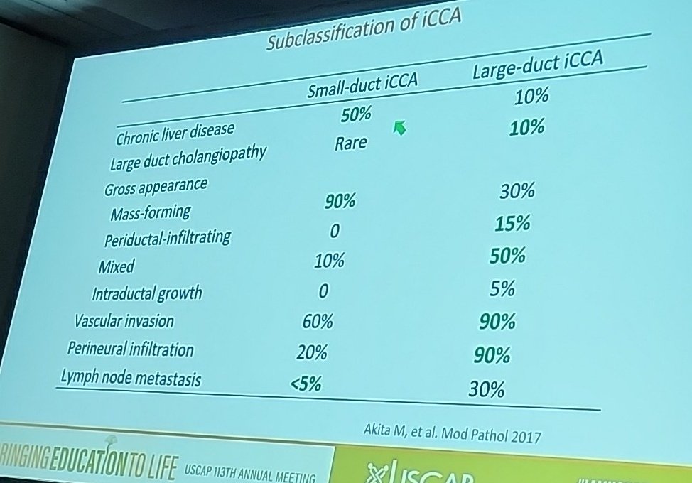 LiverPath_HPHS's tweet photo. Dr Zen: 
Last WHO accepted 2 iCCA subtypes: small and large duct.
Supported by molecular studies. 
IDH1 and FGFR fusions only seen in iCCA small duct type, while large duct resembles eCCA and pCCA. 
Morphology correlates with genetics. 
#USCAP2024 https://t.co/GmR76XN8ur