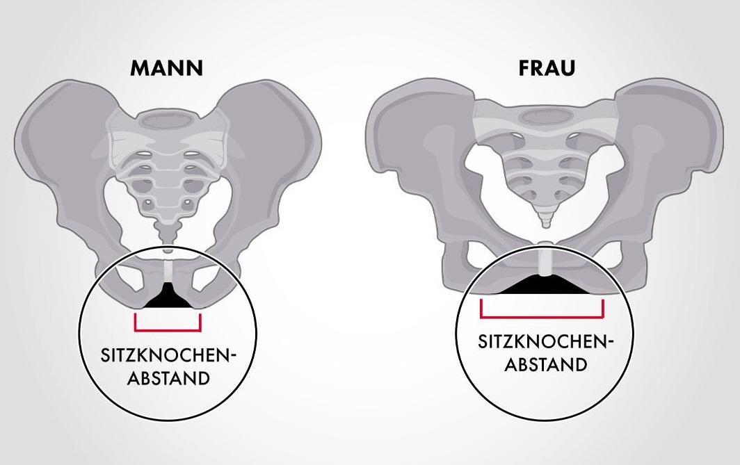 1ilya26e's tweet photo. @EvaMariaWalter4 @AkiraNaramuto @Steffi734148 @SisterGeorge4 Transfrauen sind Männer. 
Transmänner sind Frauen. https://t.co/oNNCVAmkqi
