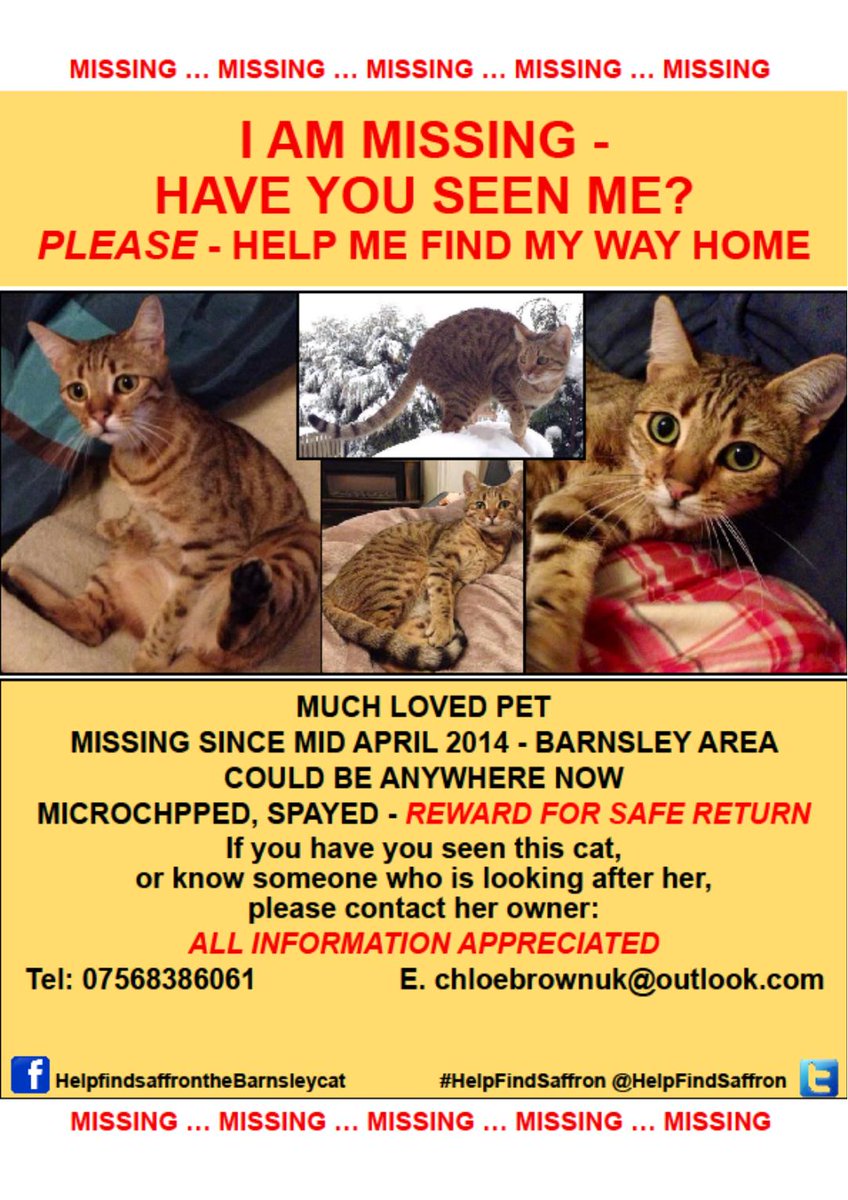 #HelpFindSaffron 🐈 had own Twitter account-3000+ followers-started when she vanished 2014 As well as searching for her the account shared & searched for lost pets of all species Account was suspended 2yrs ago-no explanation-all appeals ignored😿 Like loosing her all over again💔