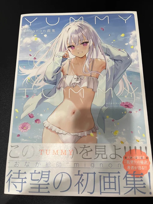 mignon先生の画集凄すぎるっ!!これは購読して良かった(*'꒳`*)おなか全面に癖を出していく力強さをひしひしと感じました!こんな塗りが出来たら...!! 