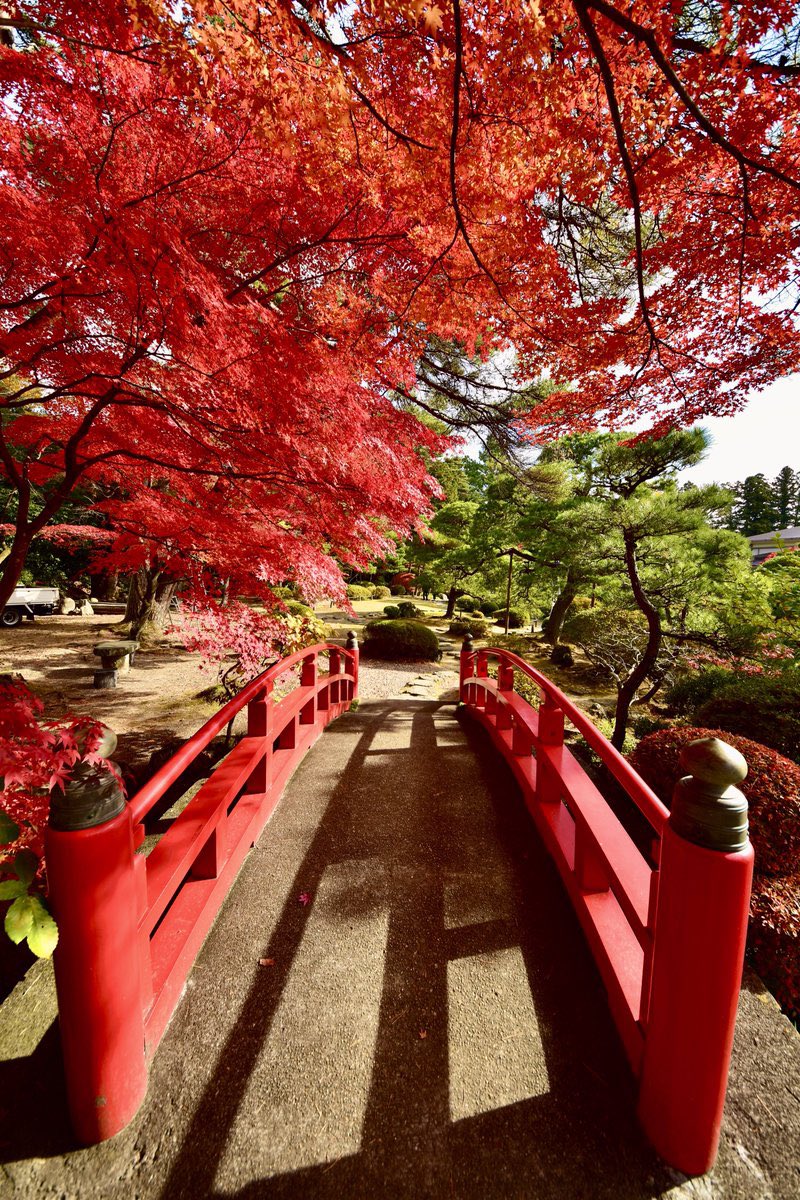 私もやってみるヾ(*´∀｀*)ﾉ

 #引用リツで雑に紹介されたい

一昨年まではこんなんやっても1件もなしだからね。怖い怖いｶﾀ:(ˊ◦ω◦ˋ):ｶﾀ