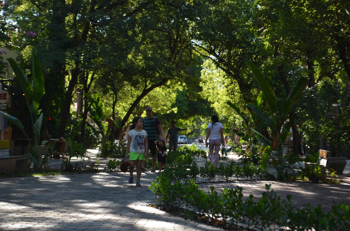 Hoy vengo a hablarles de LA CUADRITA...

Un oasis verde en el corazón de #Asunción. Un espacio destinado al verdadero protagonista de la #ciudad. Un lugar para las personas.  

🧵👇Abro hilo...