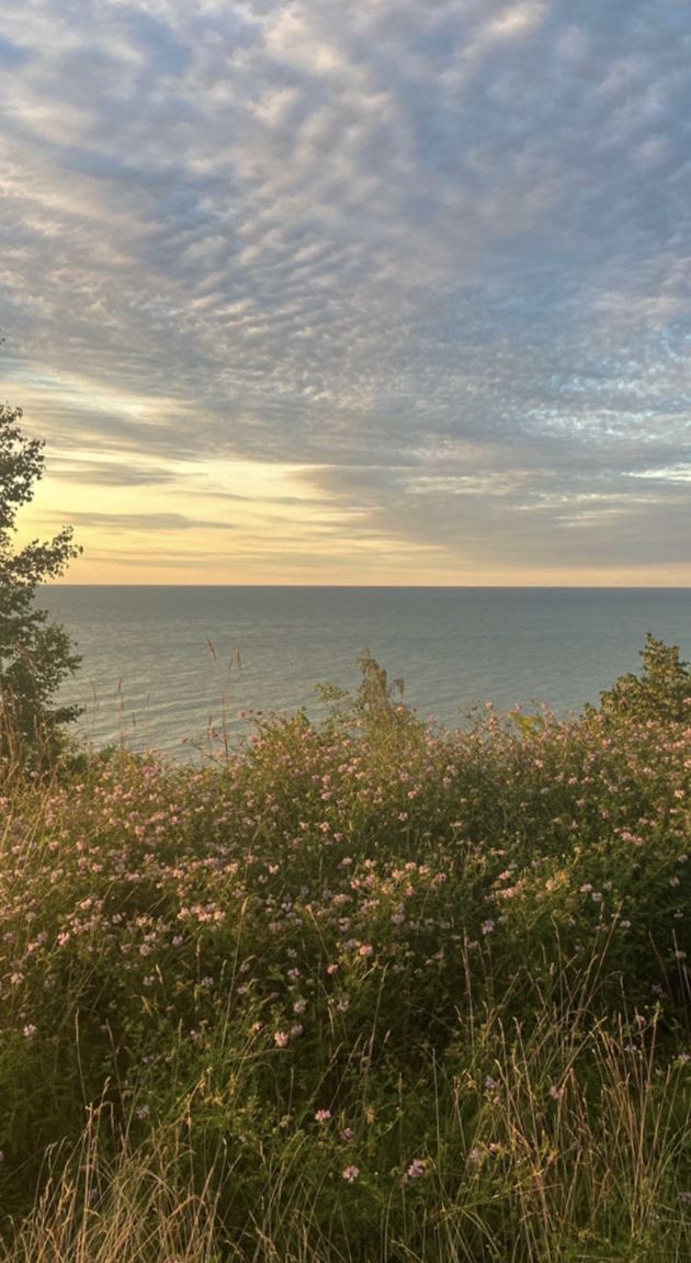 Smell of nature.