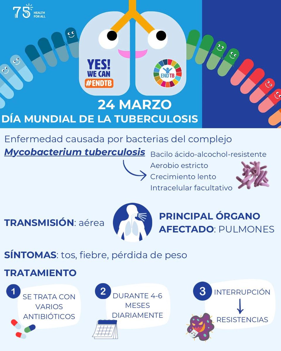 🫁Hoy es el 'Día Mundial d la Tuberculosis' (TB):
 🌎OMS: 10,6 millones d casos y  1.3 millones d muertes en 2022
 🇪🇸España: aumenta incidencia -->  incremento d 1,83% en 2022 (respecto a 2021)

☎️Urge fortalecer las estrategias d prevención y control.
#DíaMundialDeLaTuberculosis