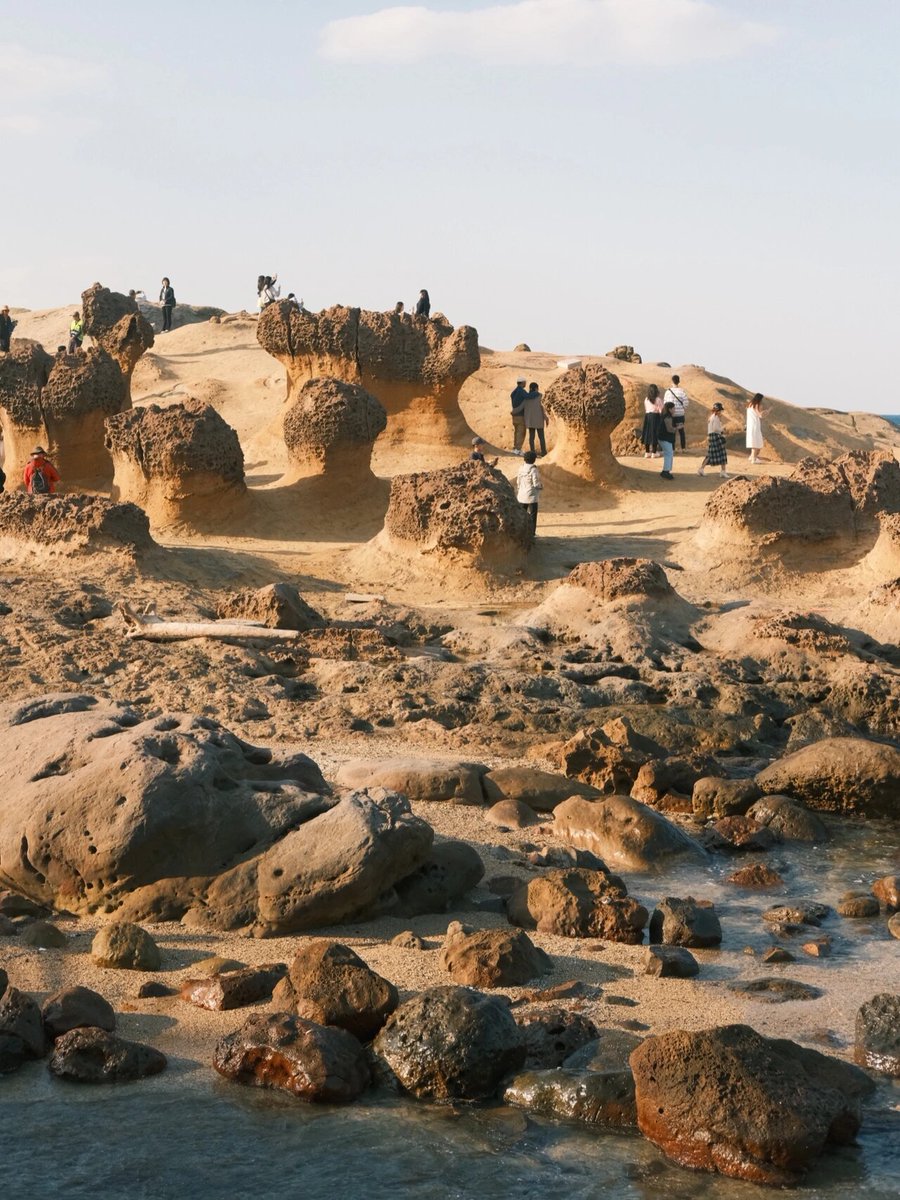 GroovyStylesSA's tweet image. The sea may make every coast think,
The sea comes especially for it.