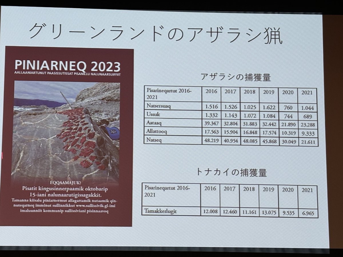 nec0n0my's tweet photo. 年間アザラシ捕獲量:約5万ｔ
人口:約5万人
単純計算、1人当たり年間1ｔのアザラシ消費…
グリーンランドではアザラシはガチ食糧との事です🤣

＃海遊館　＃ArCSII https://t.co/HPe1ggnY9j