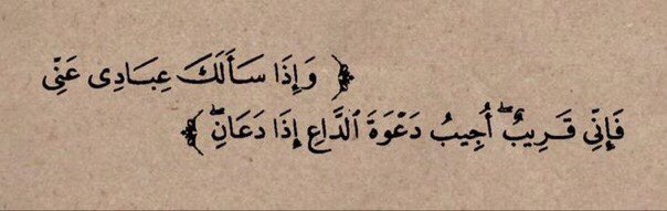 Youssef🐊🇦🇪 (@yousef_joo_19) on Twitter photo 