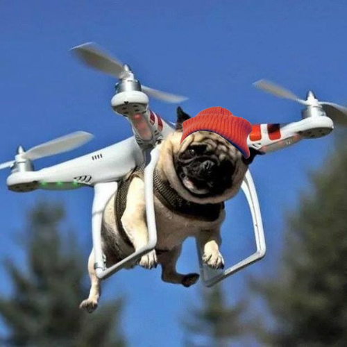 solpugwifhat's tweet photo. $PUG flying high!

ape now or cry later.

9FMbxAWpMqS63bnrjZUiFWn9pRUmPhUZprXfWPCo4RHA

https://t.co/o7dr94xA7A https://t.co/eRzL1yReJW