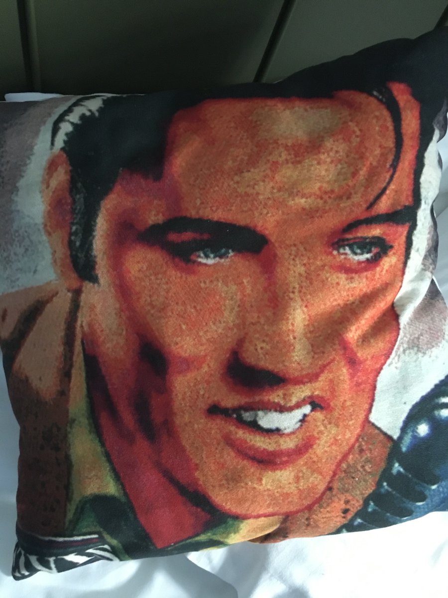 So you book into apartment from where you can see the Acropolis (well, just about, if you lean at the right angle) and guess which cultural icon they’re celebrating. Elvis cushions everywhere. Fearing I’ve brought the wrong coloured footwear…