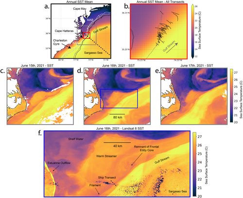 Fronts in the ocean are considered hotspots for biophysical interaction. Gray et al., use satellite data & 2 years of in situ observations across the Gulf Stream front to investigate how submesoscale frontal dynamics affect biological communities #AGUPubs agupubs.onlinelibrary.wiley.com/doi/full/10.10…