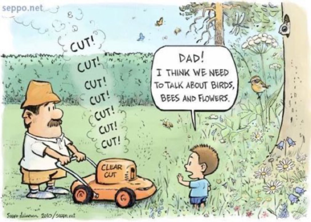 Please help bees, butterflies and birds by reducing the mowing this year! By leaving a patch of grass in your garden to flower you'll be helping wildlife while reducing effort, cost and carbon emissions. Cartoon courtesy @sepponet #Nature #ClimateAction⁠ ⁠#biodiversity