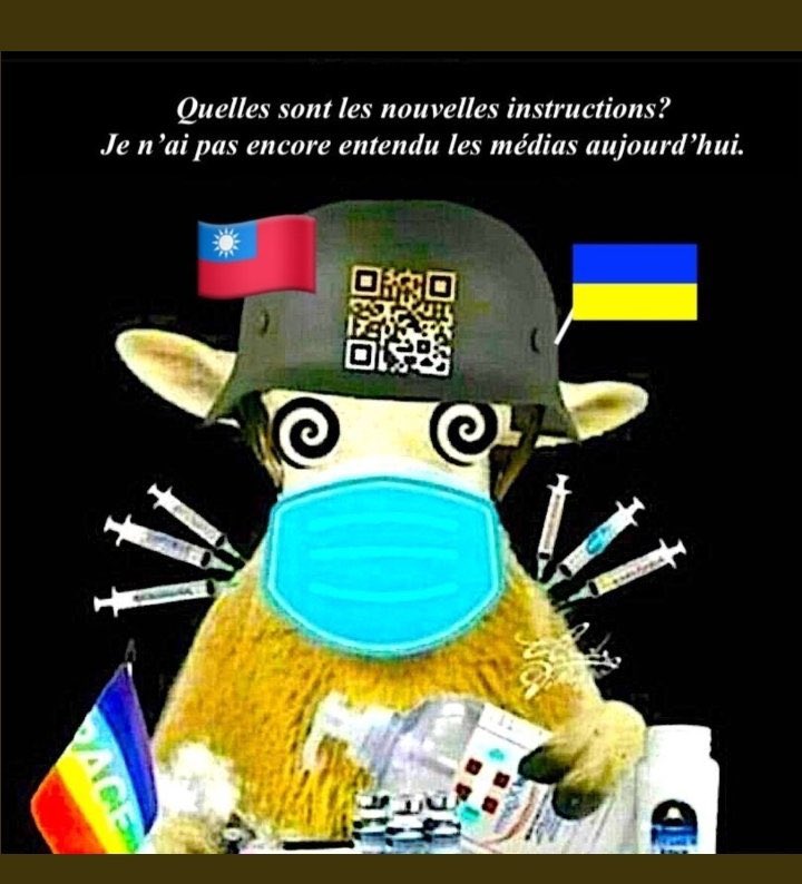 SachaTouilleSec's tweet photo. https://t.co/gPMimLgh4d