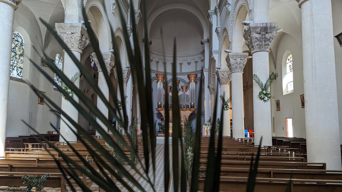 🌿 Belle fête des #Rameaux à toute la #TeamOM ! 🔥 #PrayForOM