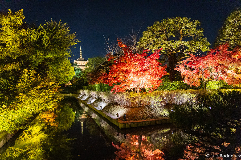 Situado al sur de la estación de Kioto, el templo Toji tiene una de las imágenes más icónicas de Kioto: su maravillosa pagoda de cinco pisos. Te contamos qué no debes perderte en una visita al templo (especialmente recomendado en primavera y otoño): japonismo.com/blog/viajar-a-…